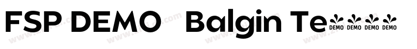 FSP DEMO   Balgin Te字体转换